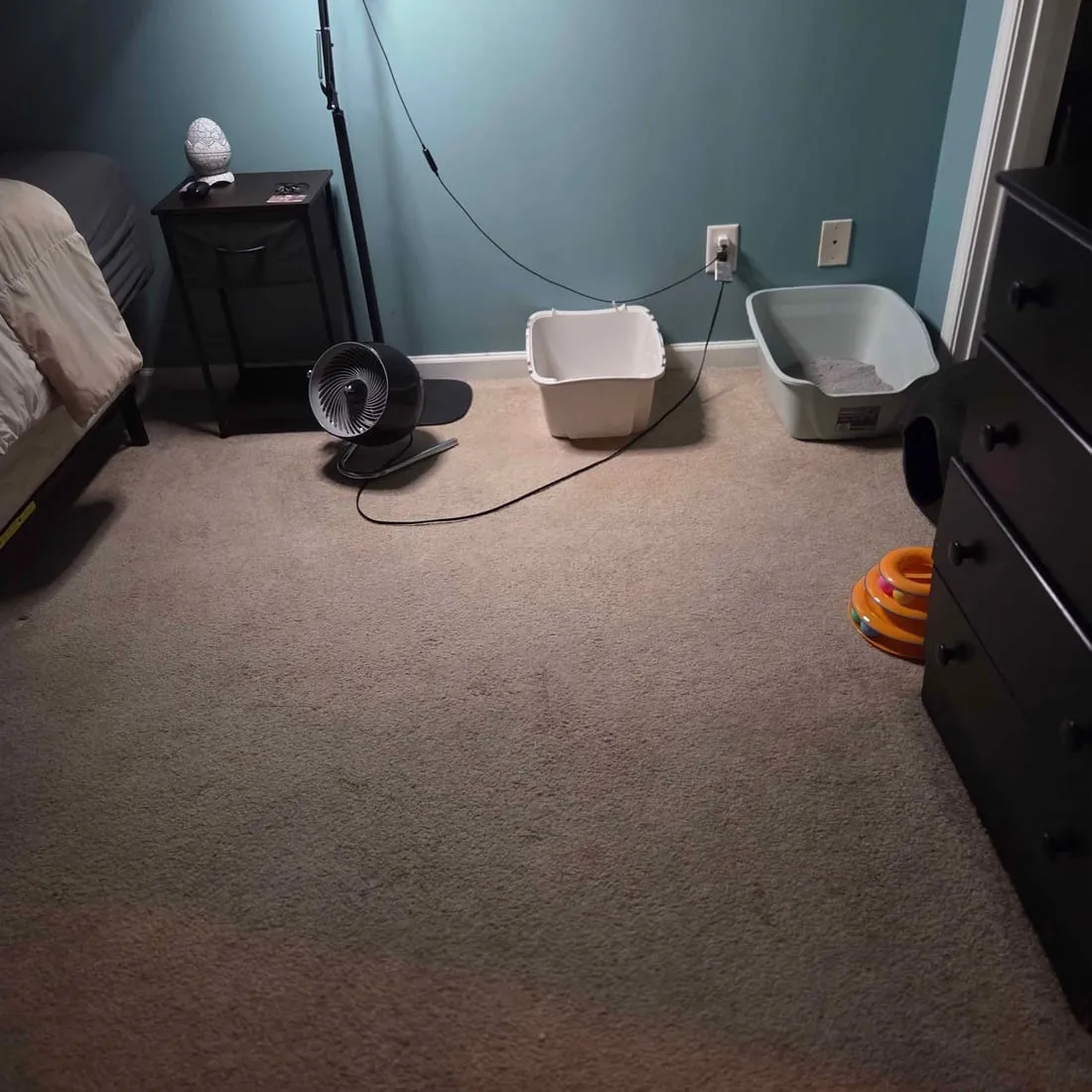 The same bedroom floor after cleaning, carpet restored and even in color