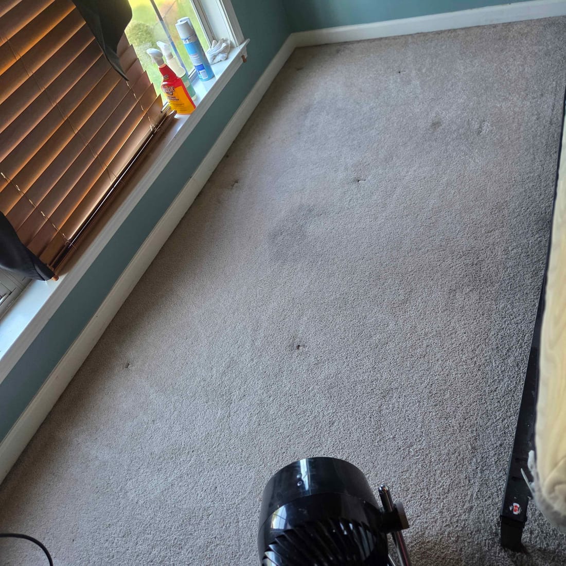 The same bedroom carpet after cleaning, clear and evenly clean